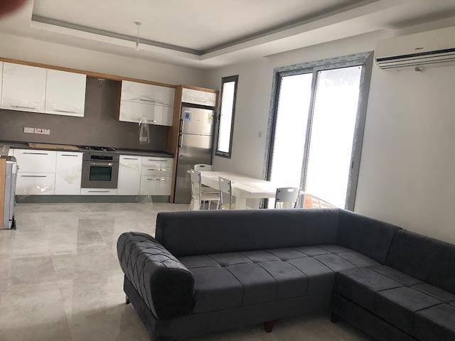 Alicante, RENT from 6 months, near Pla.  Studio with